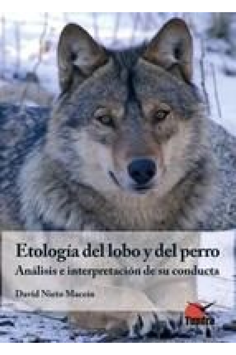 Etología del lobo y del perro. Análisis e interpretación de su conducta