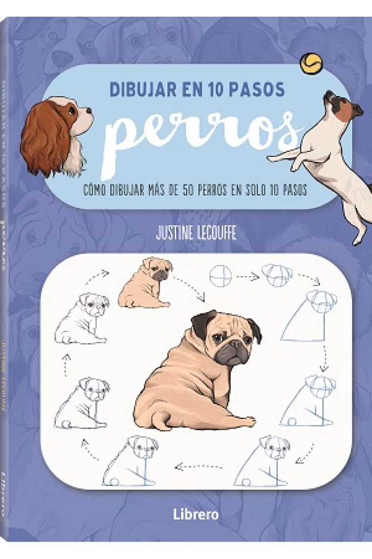 Dibujar perros en 10 pasos. Cómol dibujar 75 perros en solo 10 pasos