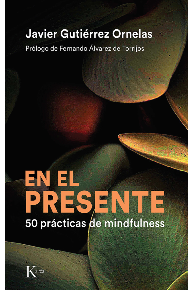 En el presente. 50 prácticas de mindfulness