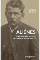 Aliénés - Une histoire sociale de la folie au XIXe siècle