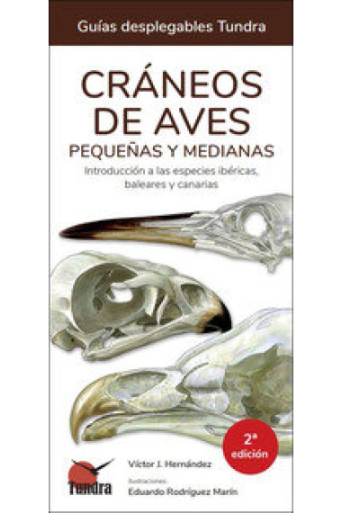 CRANEOS DE AVES