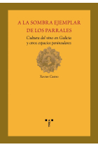 A la sombra ejemplar de los parrales:cultura del vino en Galicia y otros espacios peninsulares