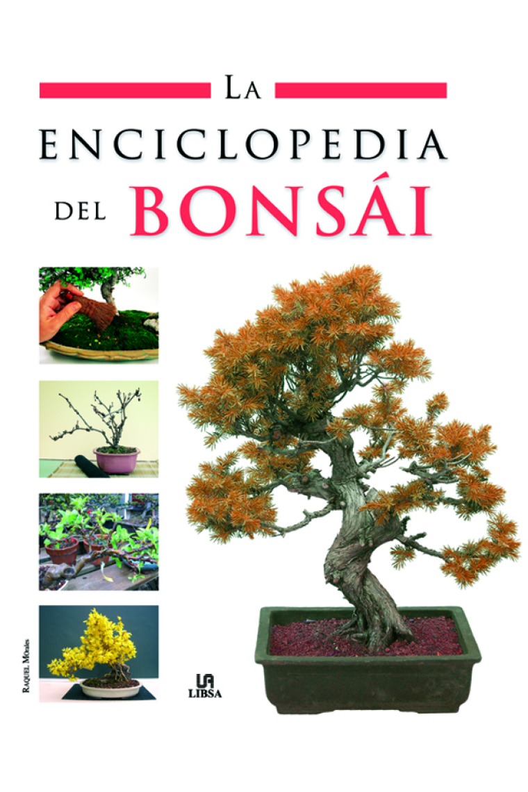 La enciclopedia del Bonsái