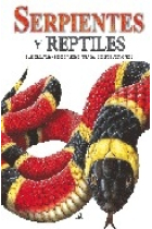 Serpientes y reptiles