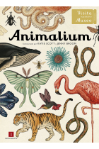 Animalium