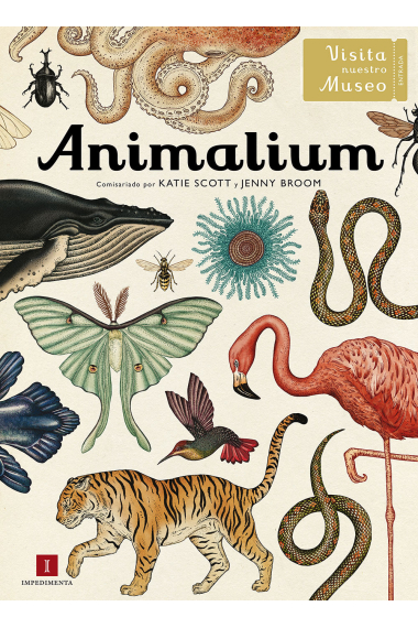 Animalium