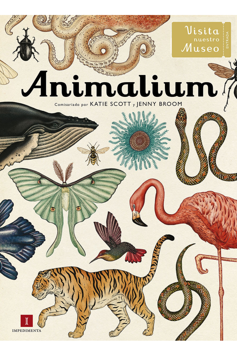 Animalium