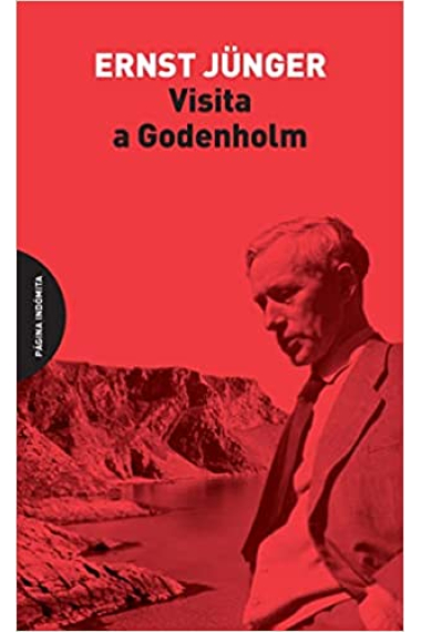 Visita a Godenholm