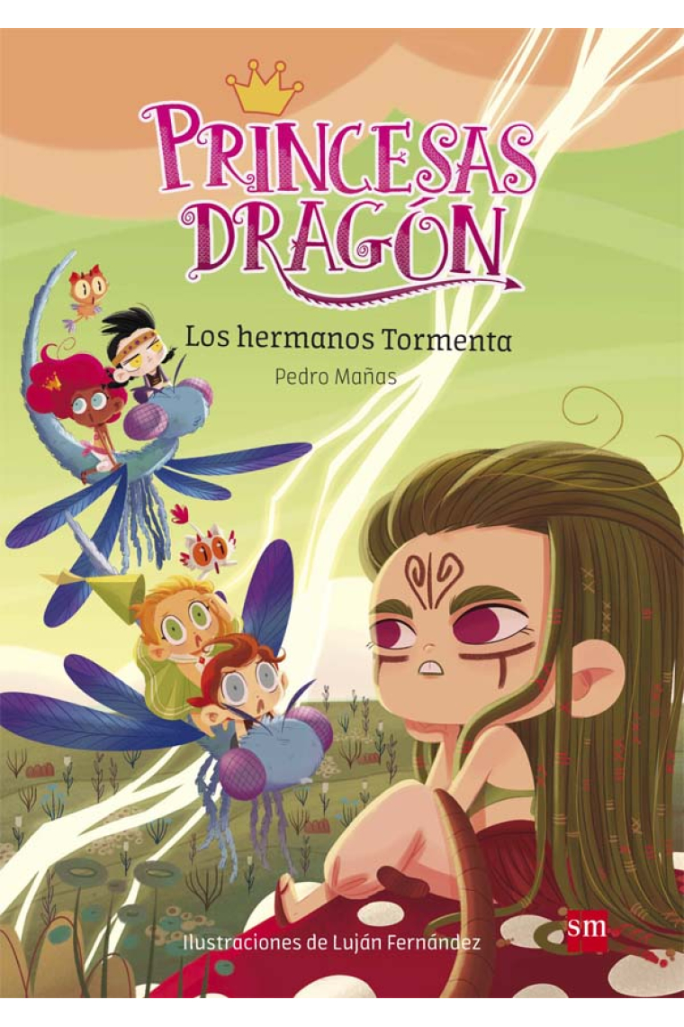 Princesas Dragón: Los hermanos Tormenta