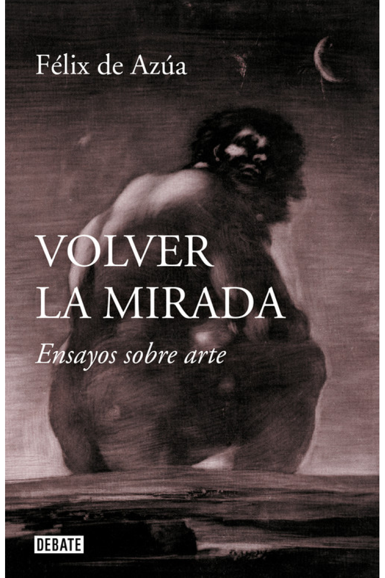 Volver la mirada. Ensayos sobre arte