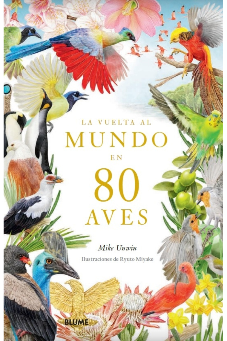 La vuelta al mundo en 80 aves