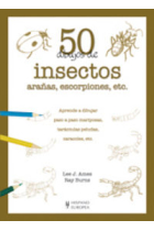 50 dibujos de insectos, arañas, escorpiones, etc.