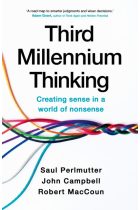 Third Millennium Thinking: Creating Sense In A World Of Nonsense