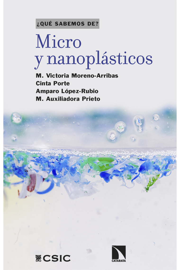 Micro y nanoplásticos. Riesgos y desafíos