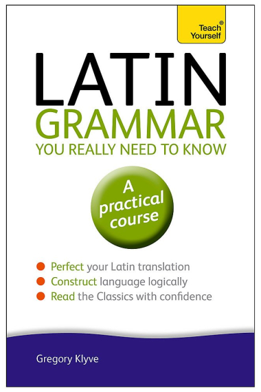 Latin Grammar You Really Need to Know: Teach Yourself