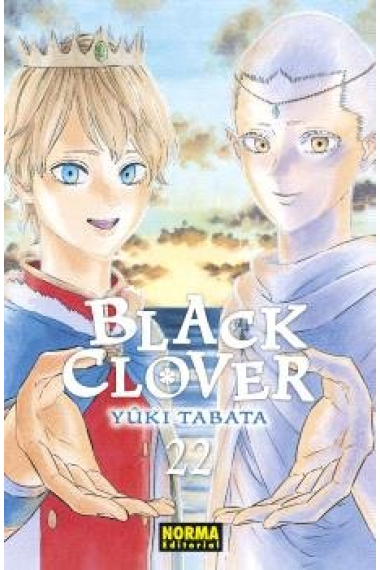 BLACK CLOVER 22