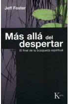 Más alla del despertar: el final de la búsqueda espiritual