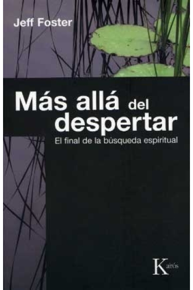 Más alla del despertar: el final de la búsqueda espiritual