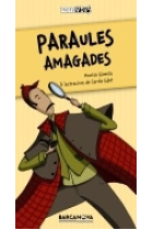 Paraules amagades