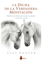 La dicha de la verdadera meditación. Palabras de aliento para mentes cansadas y corazones salvajes