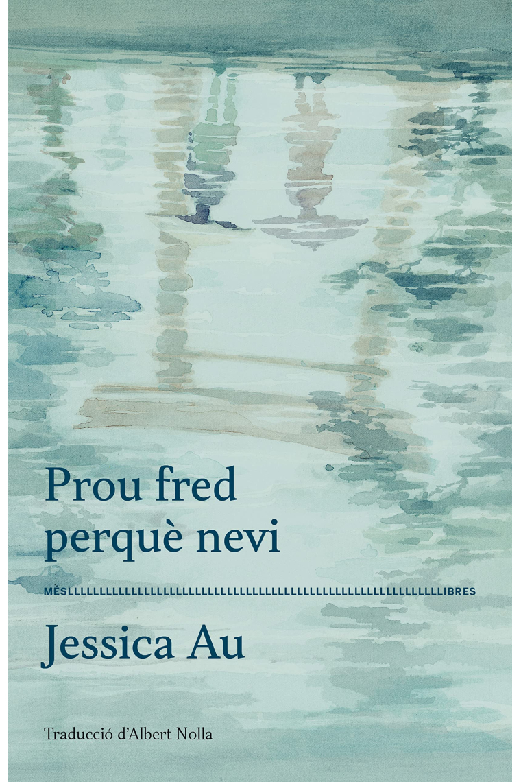 Prou fred perquè nevi. Premi Novel 2020