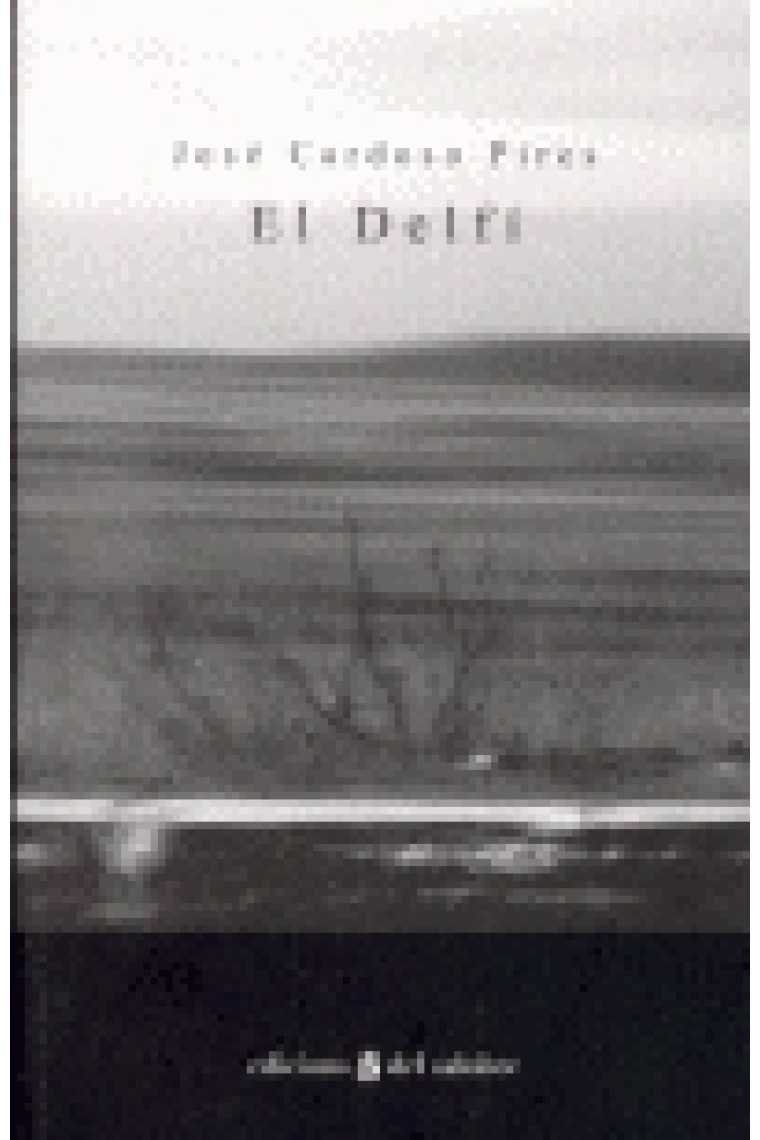 El delfí