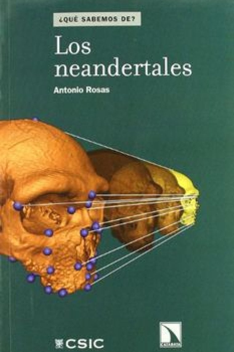 Los neandertales. ¿Qué sabemos de?