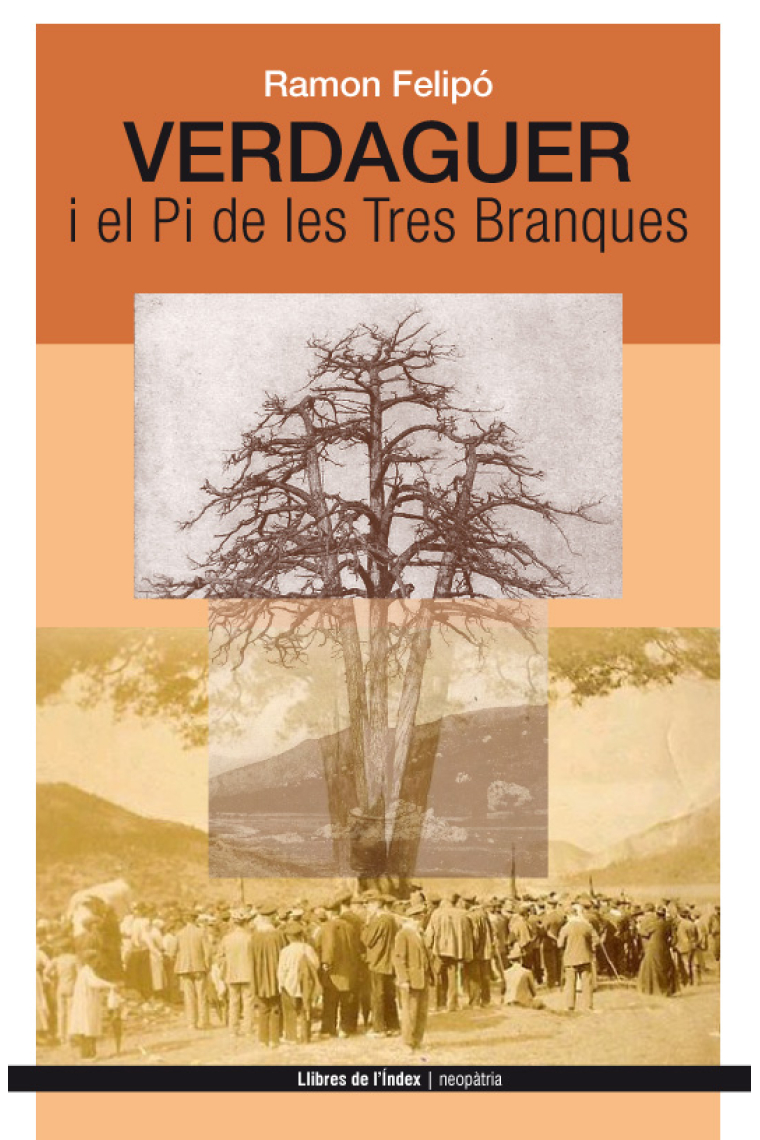 Verdaguer i el Pi de les Tres branques