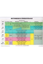 Uchebnaja grammaticheskaja tablitsa. Mestoimenija i prilagatelnye/ Training Tables for Students of Russian: Pronouns and Adjectives