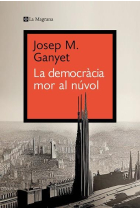 La democràcia mor al núvol