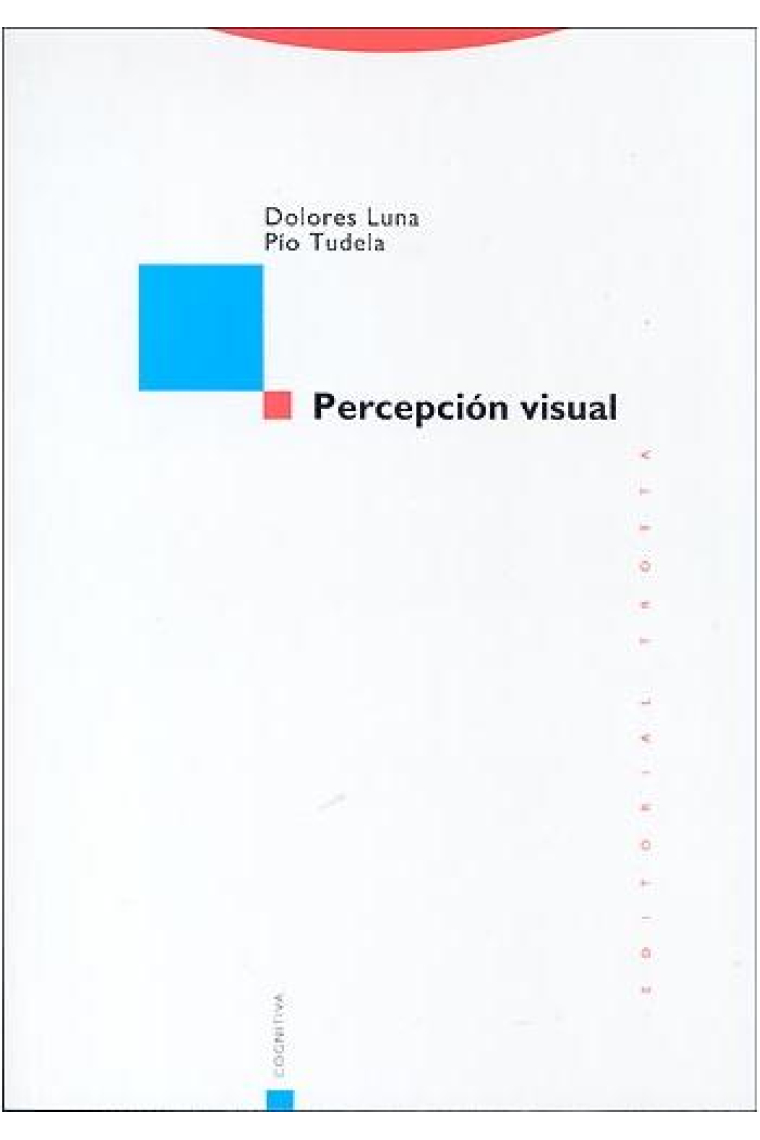 Percepción visual