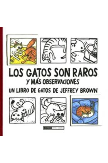 Los gatos son raros y más observaciones