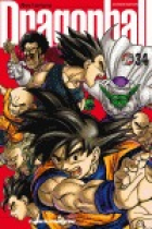 Dragon Ball 34