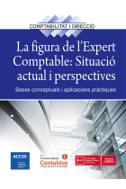 La figura de l' expert comptable: Situació actual i perspectives