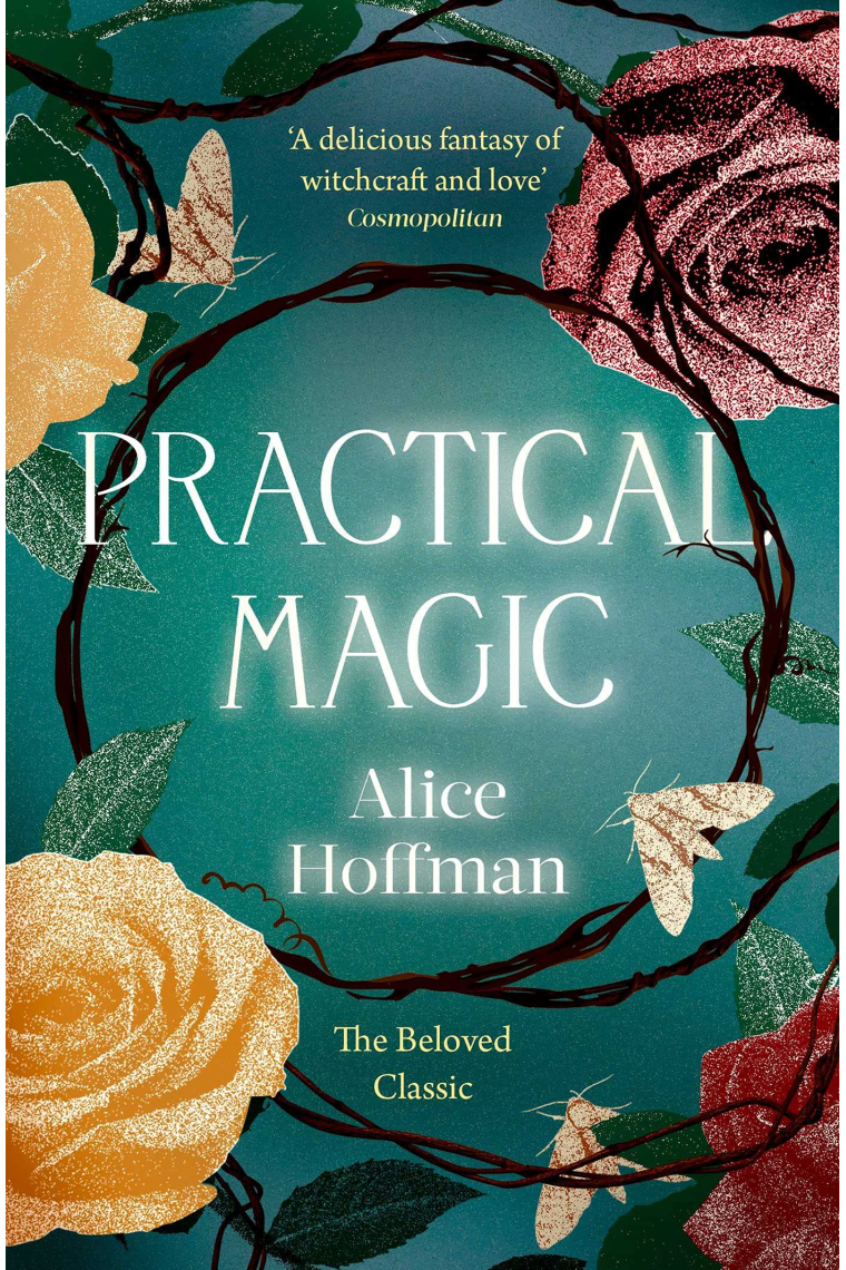 Practical Magic (The Practical Magic Series 3)