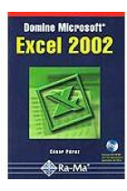 Domine Microsoft Excel 2002