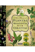 Atlas ilustrado de plantas medicinales y curativas