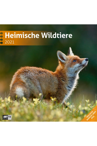 Heimische Wildtiere 2021 Broschürenkalender