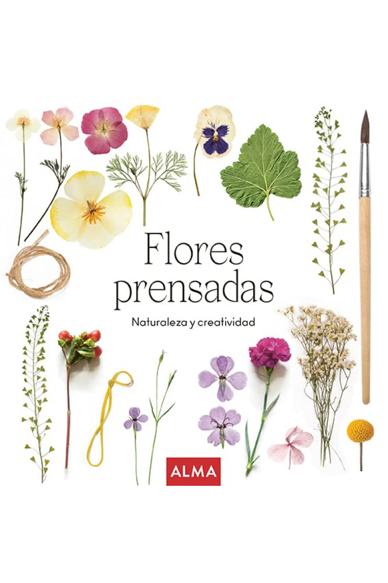 Flores prensadas. Naturaleza y creatividad