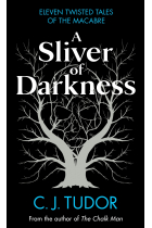 A Sliver of Darkness