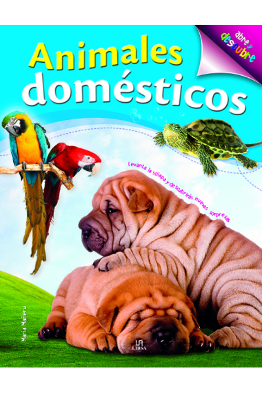 Animales Domésticos