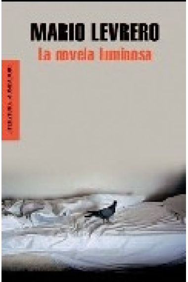 La novela luminosa