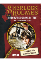 Sherlock Holmes i els irregulars de Baker Street. La caiguda dels increïbles Zalinda