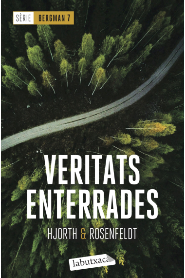 Veritats enterrades. Sèrie Bergman 7