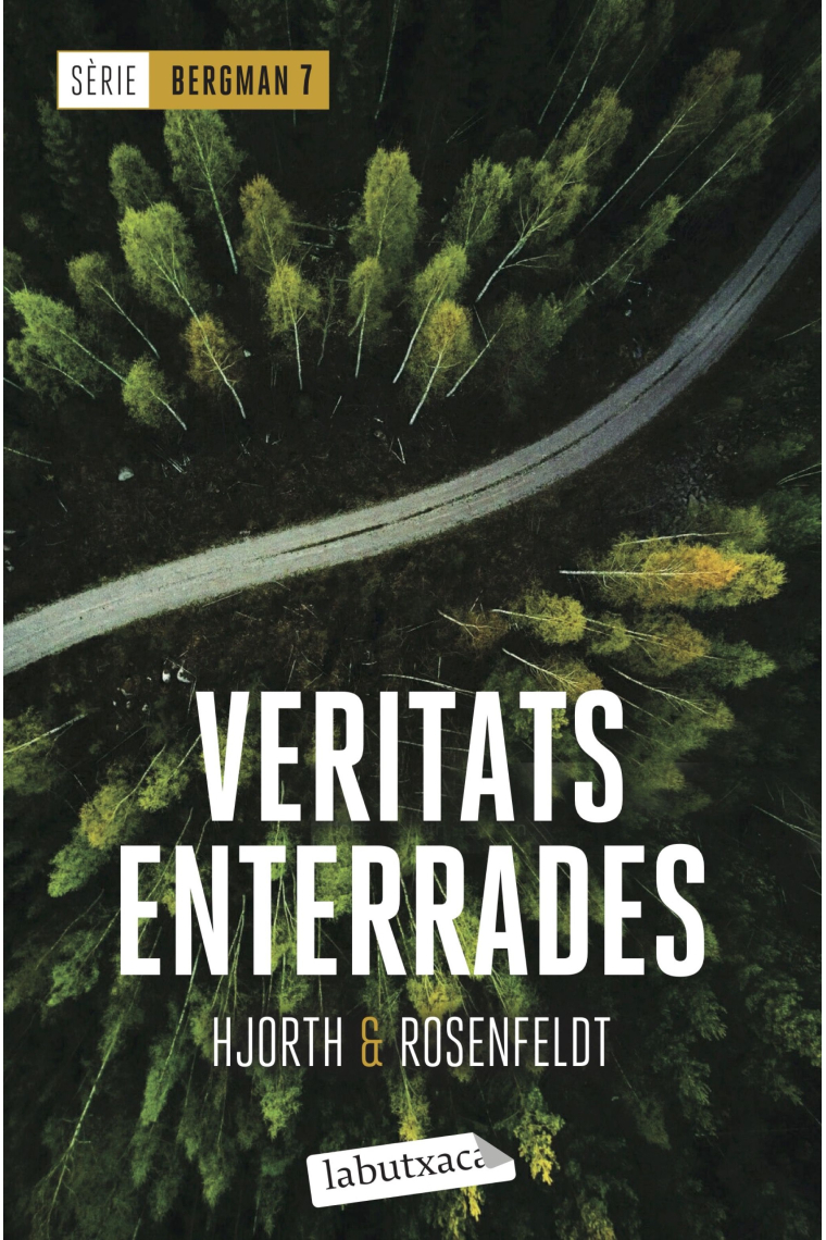 Veritats enterrades. Sèrie Bergman 7