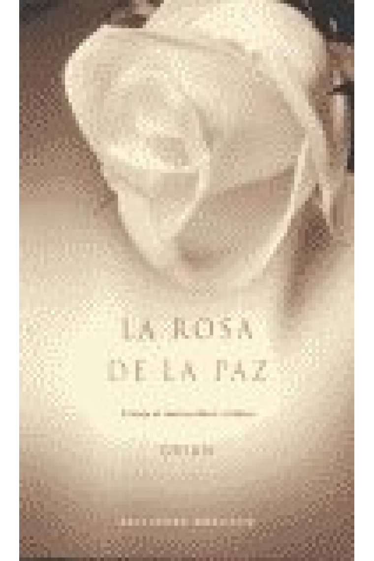 La rosa de la paz