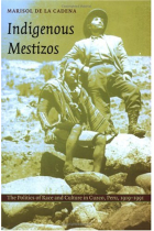 Indigenous mestizos (The politics of race and culture in Cuzco, Peru, 1919-1991)