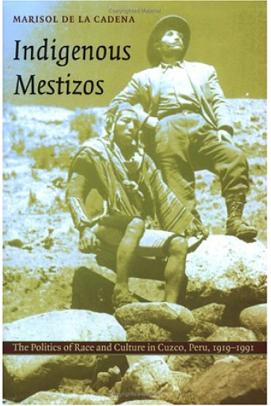 Indigenous mestizos (The politics of race and culture in Cuzco, Peru, 1919-1991)