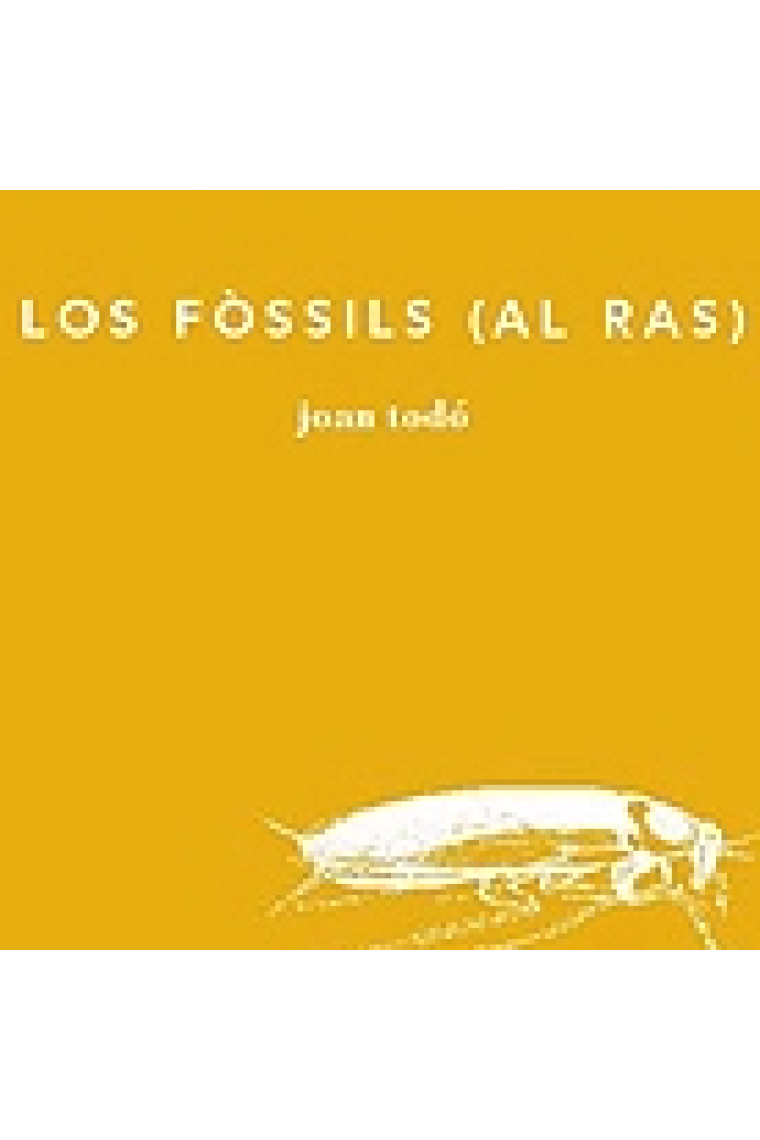 Los fòssils (al ras)