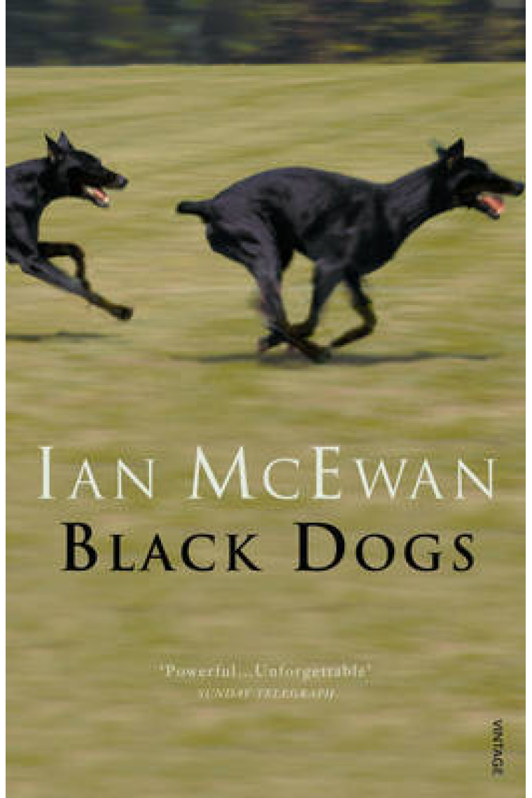 Black Dogs